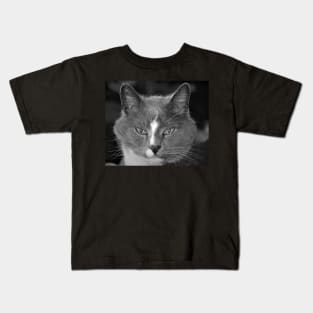 Satine the Cat of Age and Wisdom Kids T-Shirt